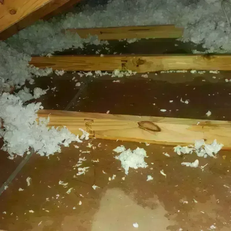 Attic Water Damage in Pilot Point, TX