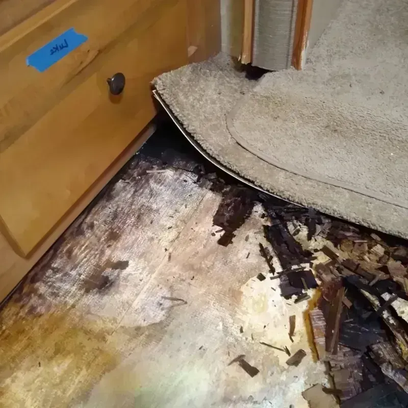 Wood Floor Water Damage in Pilot Point, TX